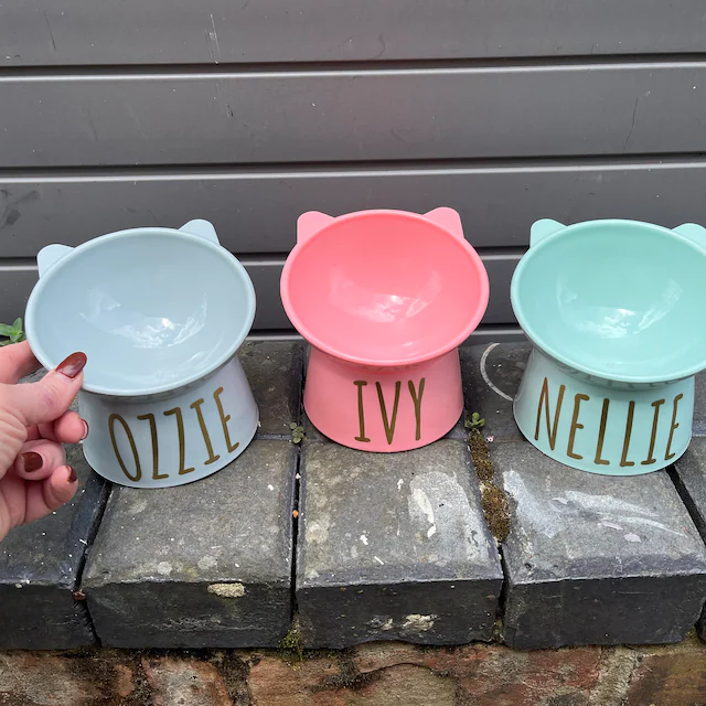 Personalized Color Cute Pet Bowl with Name  | BKPet74