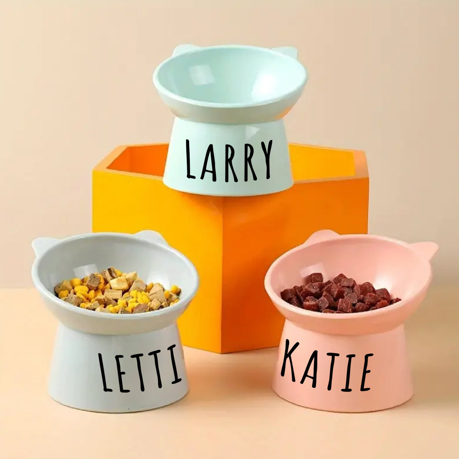 Personalized Color Cute Pet Bowl with Name | BKPet74