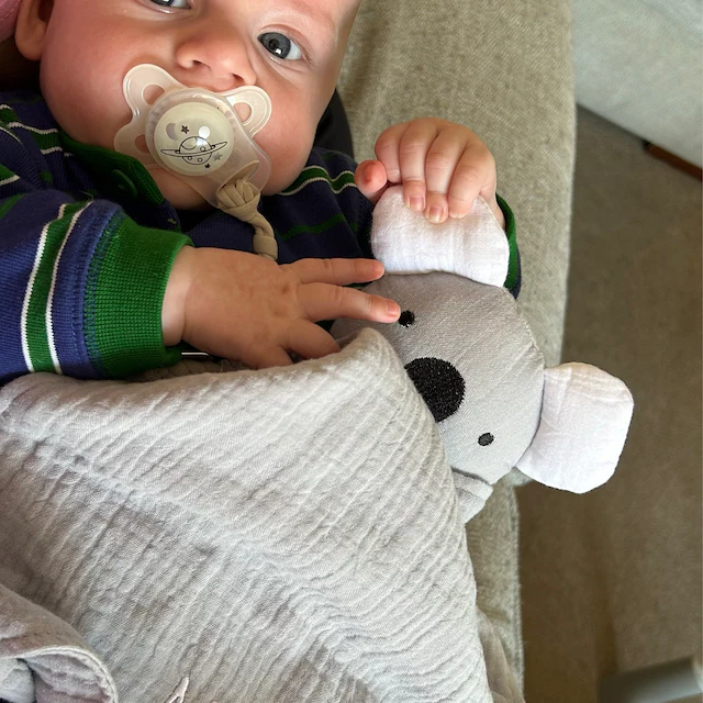 Personalized Baby Embroidery Organic Cotton Koala Toy | CWToy26