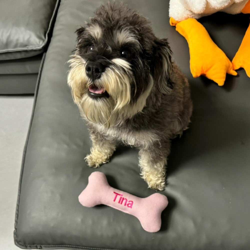 Personalized Durable Puppy Bone Toy for Funny & Unique | BKPet27