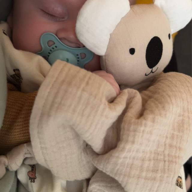 Personalized Baby Embroidery Organic Cotton Koala Toy | CWToy26