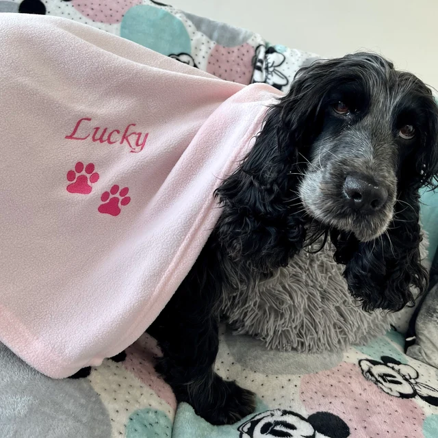 Personalized Warm Pet Blanket for Comfort & Unique | BKPet18