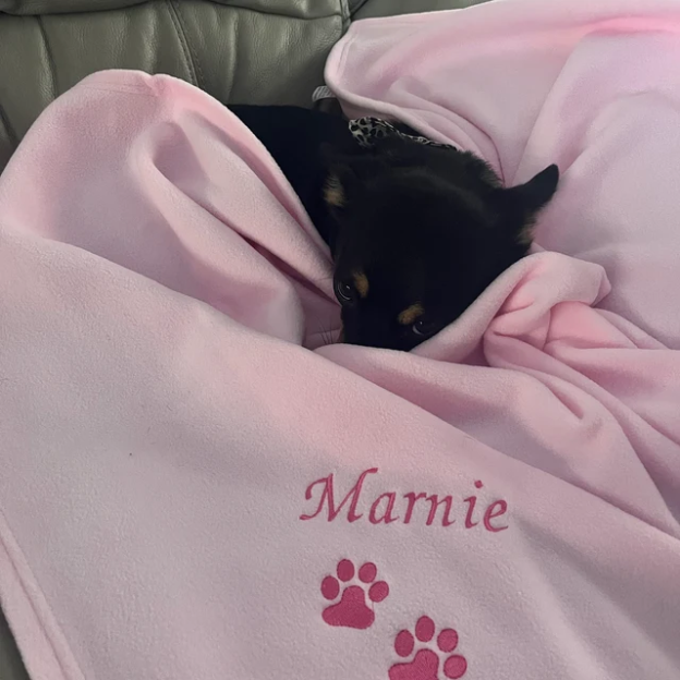 Personalized Warm Pet Blanket for Comfort & Unique | BKPet18