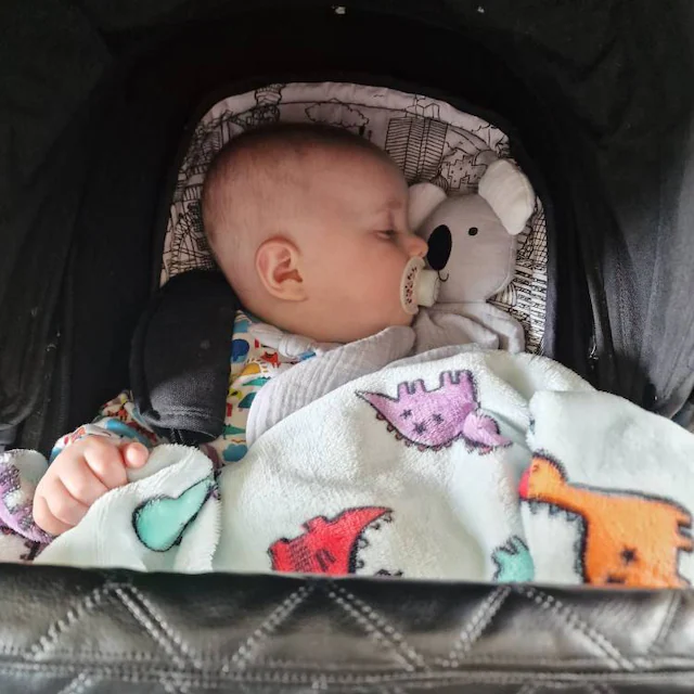 Personalized Baby Embroidery Organic Cotton Koala Toy | CWToy26
