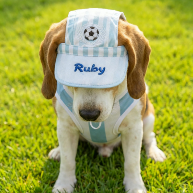 Personalized Embroidery Football Pet Hat with Ear Holes | MNAccs100