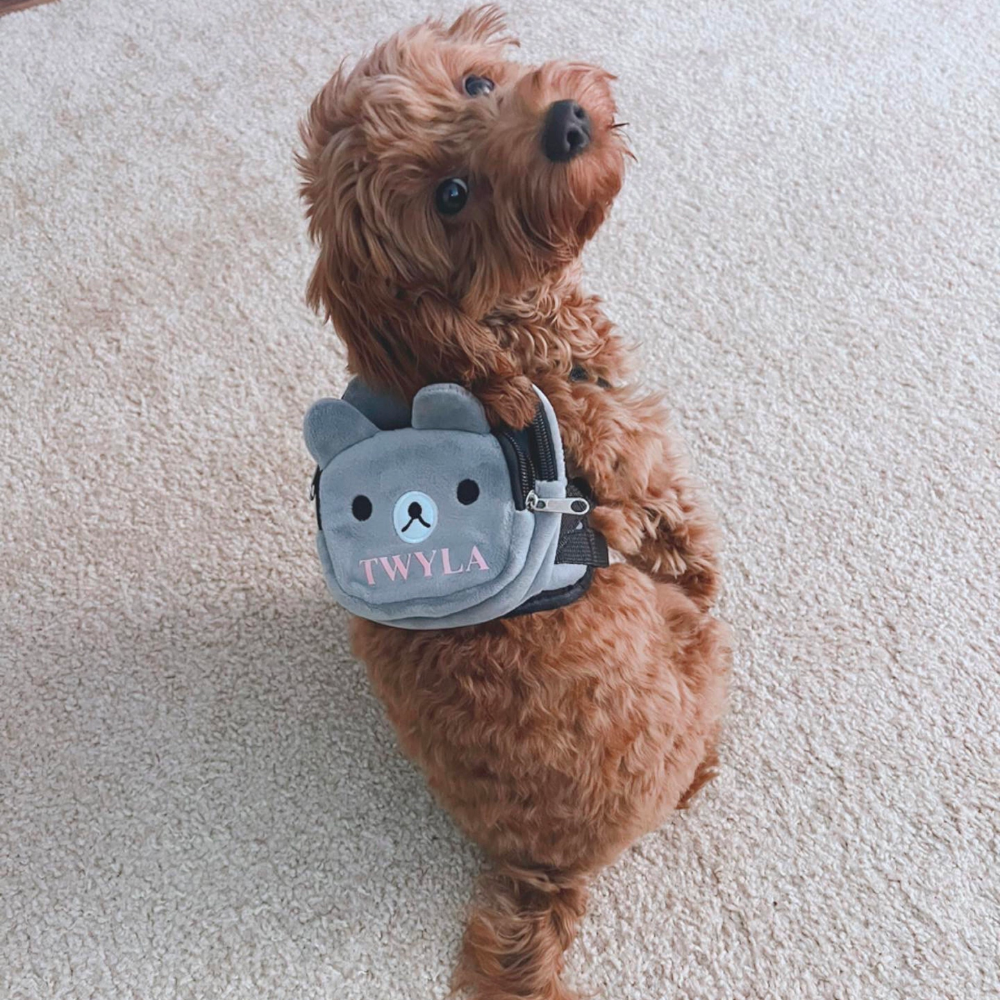 Personalized Cartoon Bear Pet Backpack| BKPet49