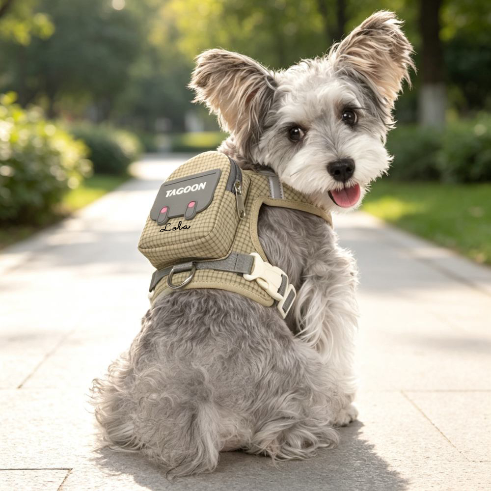Personalized Cute Mini Backpack Dog Harness | MNAccs113