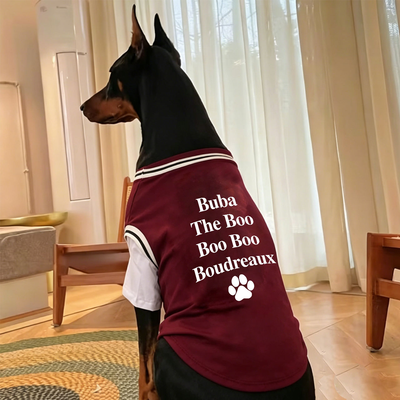 Personalized Big Dog Cozy Nickname Fake Two-Piece Jersey Dog Shirt | MNCloth229