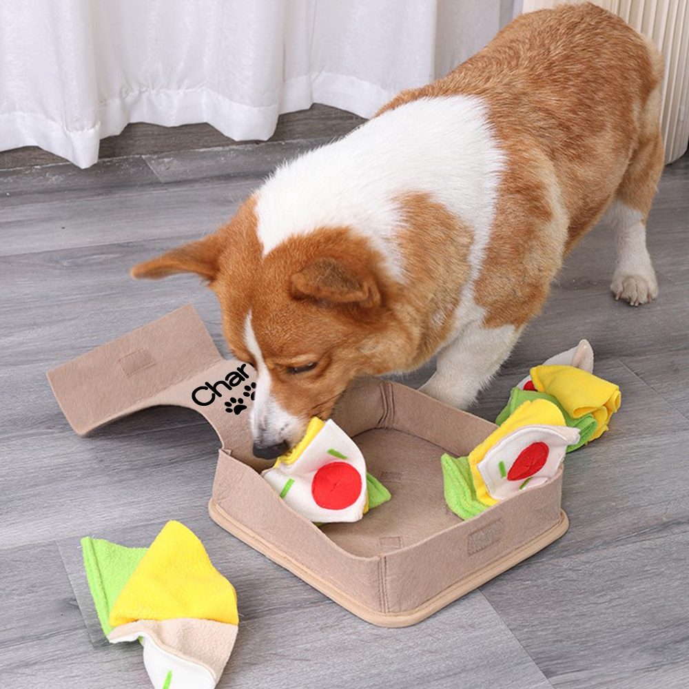 Personalized Pizza Box Pet Toys | BKPet136