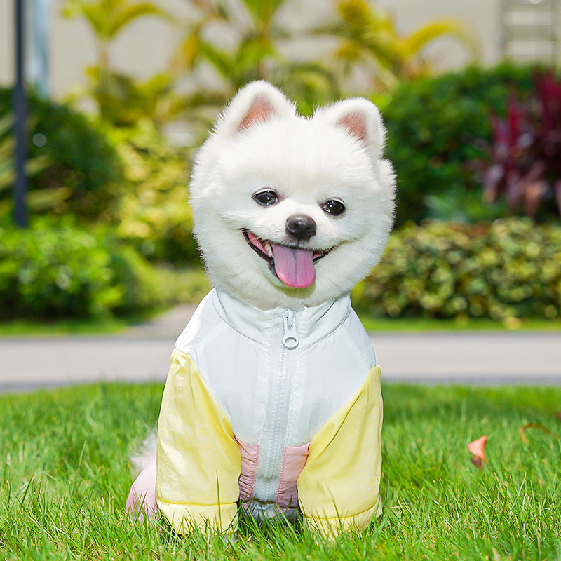 Personalized Pet Lightweight Sun-protective Rain Jacket | BKPet563