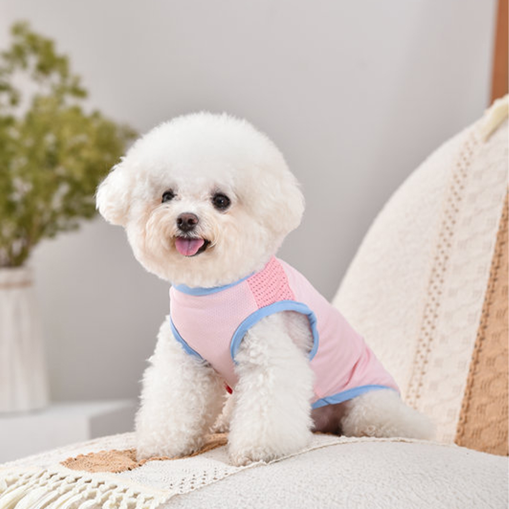 Personalized Pet Stand Collar Summer Cooling Vest For All Breeds | MNCloth238
