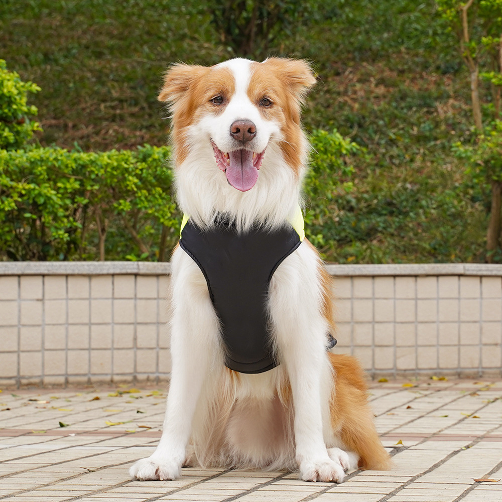 Personalized Pets Warm Puffer Vest | BKPet147