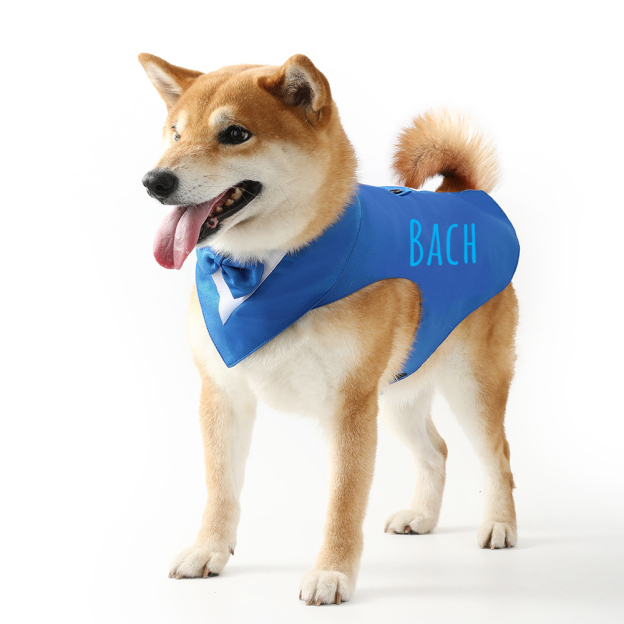 Personalized Pet Gentleman Tail Coat With Bow Collar | BKPet153