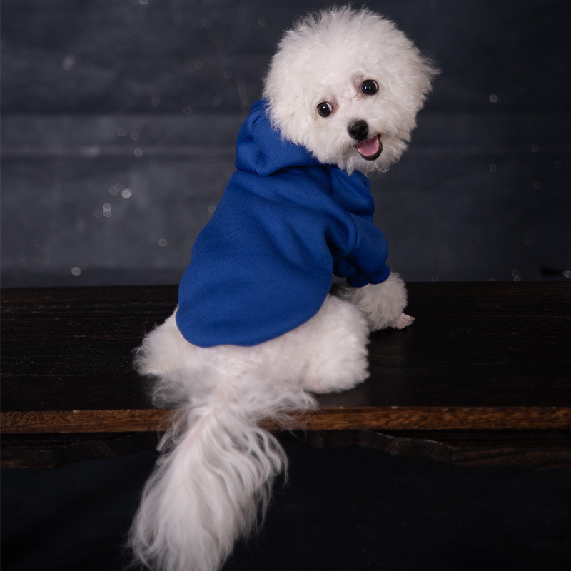 Personalized Warm Puppy Hoodie for Comfort & Unique | BKPet22