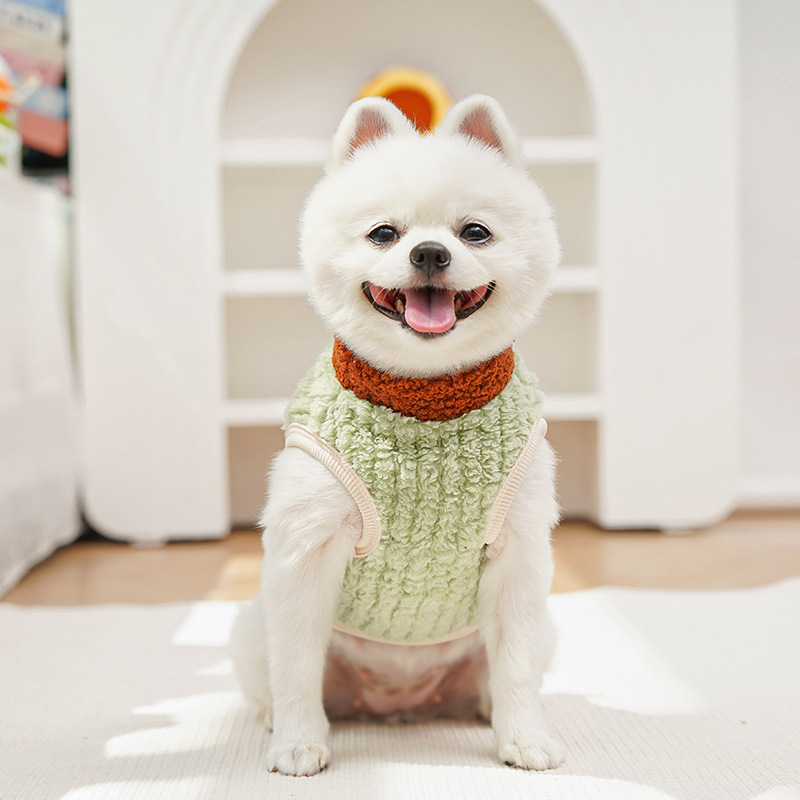 Personalized Pets Leather Patch Lovely Lion Sweater | BKPet252