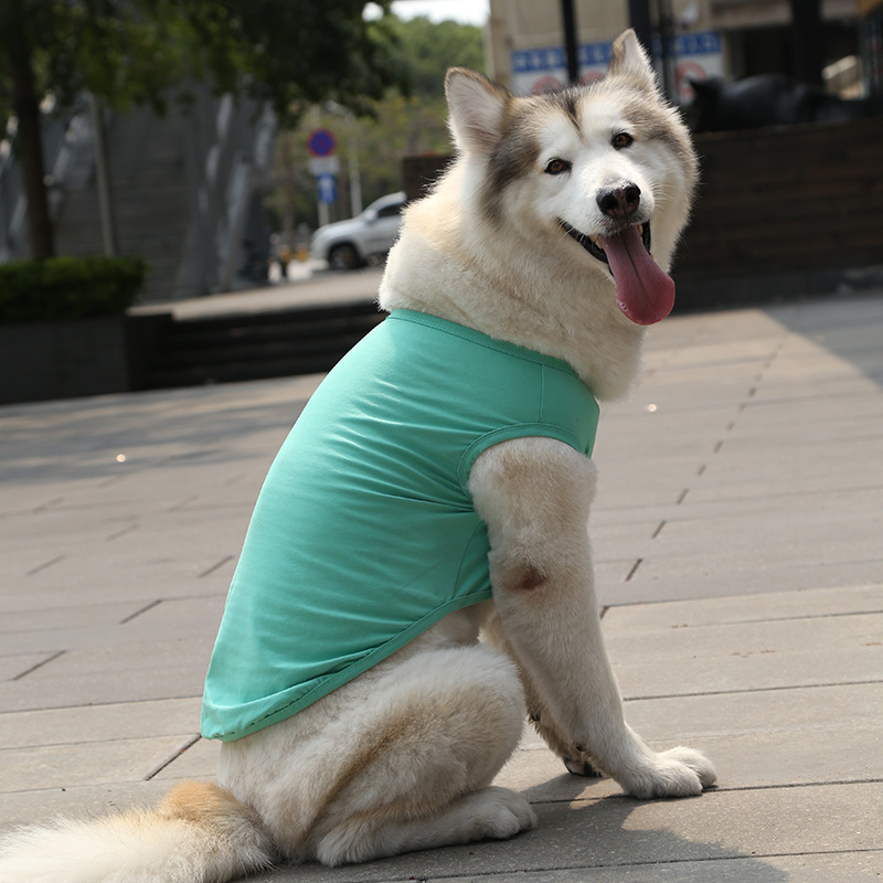 Personalized Soft Puppy Shirt for Comfort & Unique | BKPet50