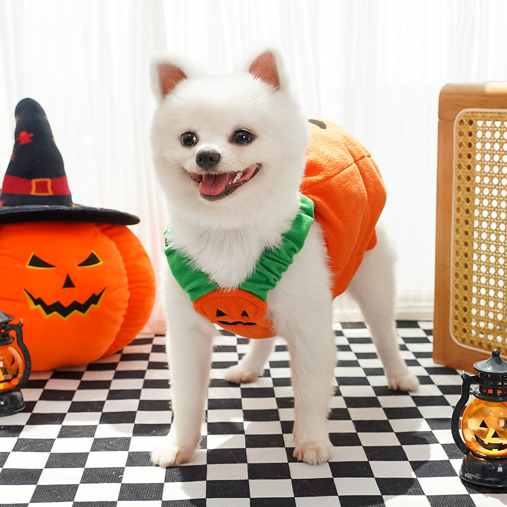 Personalized Halloween Funny Pumpkin Pet Costume | CWHalloween66