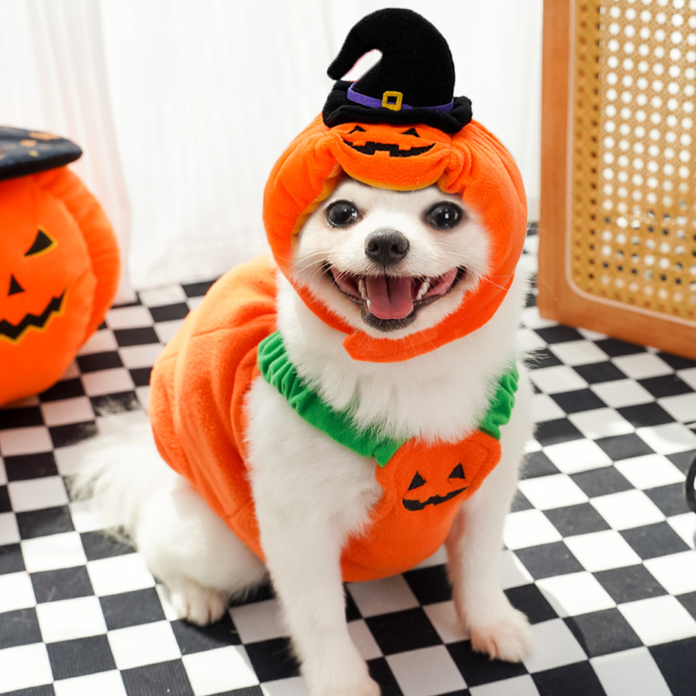 Personalized Halloween Funny Pumpkin Pet Costume | CWHalloween66