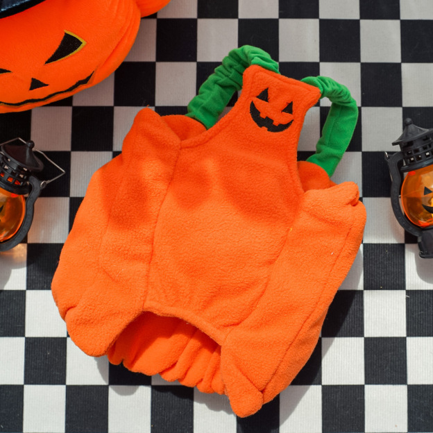 Personalized Halloween Funny Pumpkin Pet Costume | CWHalloween66