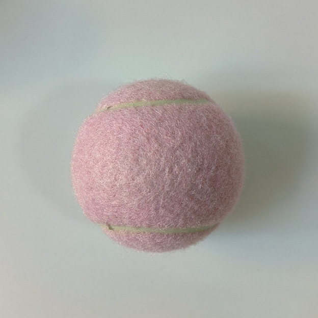 Personalized Pet Tennis Ball Toy | BKPet138