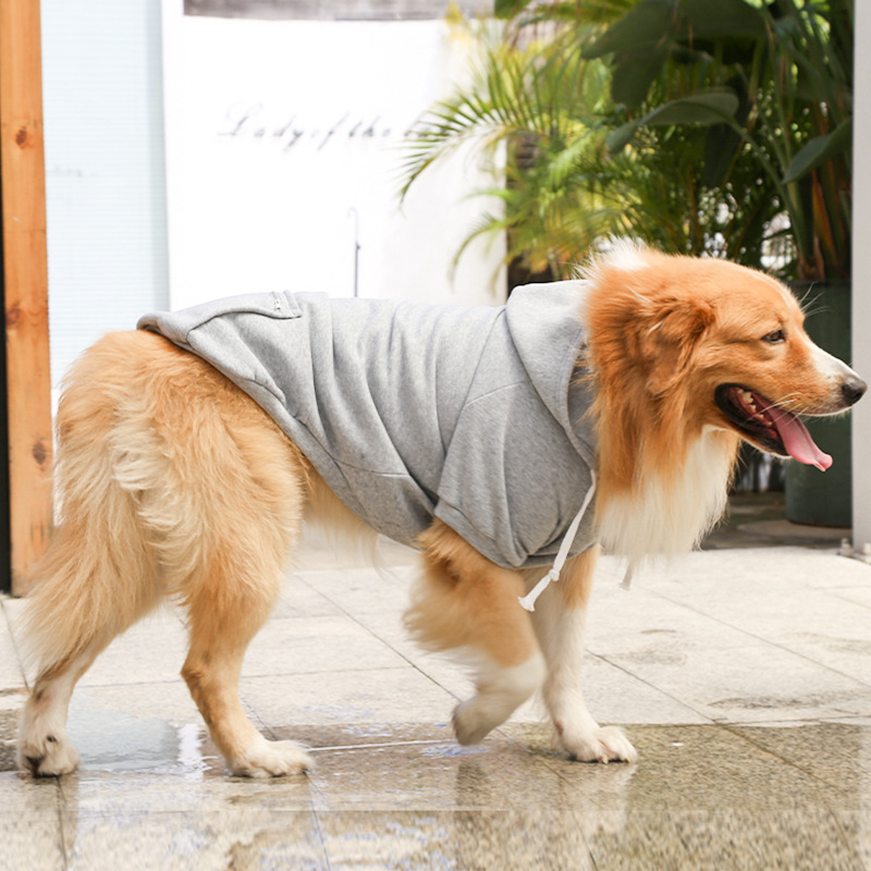 Personalized Warm Puppy Hoodie for Comfort & Unique | BKPet254
