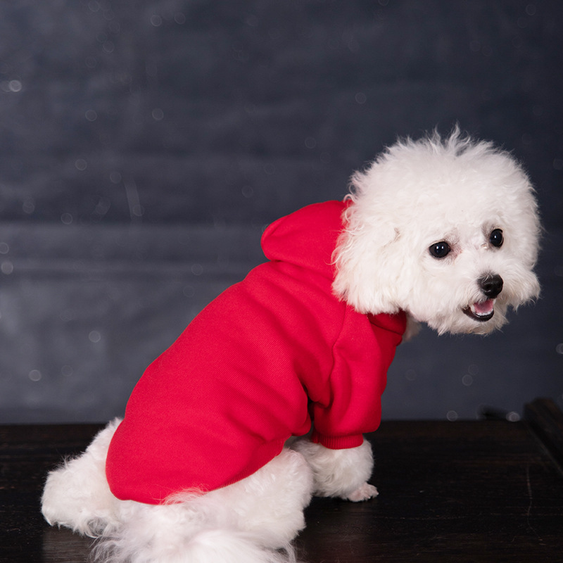 Personalized Warm Puppy Hoodie for Comfort & Unique | BKPet22