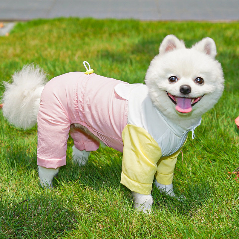 Personalized Pet Lightweight Sun-protective Rain Jacket | BKPet563