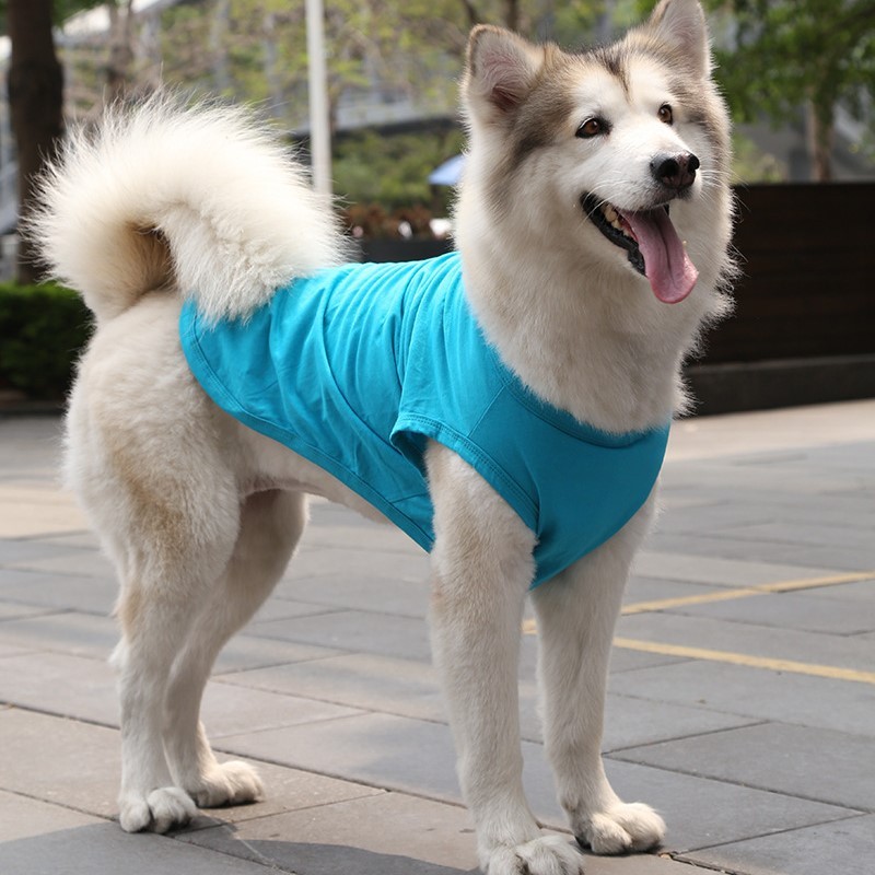 Personalized Soft Puppy Shirt for Comfort & Unique | BKPet50