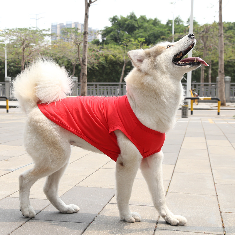 Personalized Soft Puppy Shirt for Comfort & Unique | BKPet50