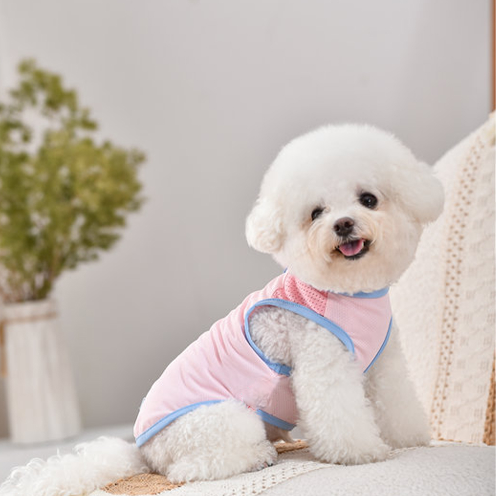 Personalized Pet Stand Collar Summer Cooling Vest For All Breeds | MNCloth238