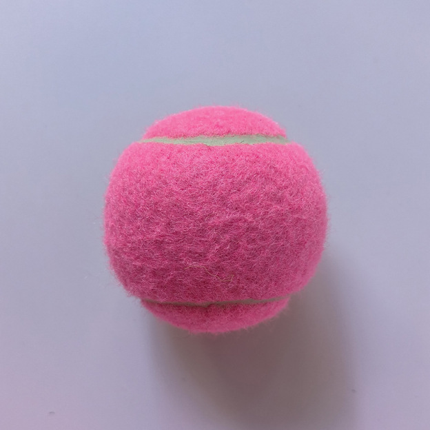 Personalized Pet Tennis Ball Toy | BKPet138