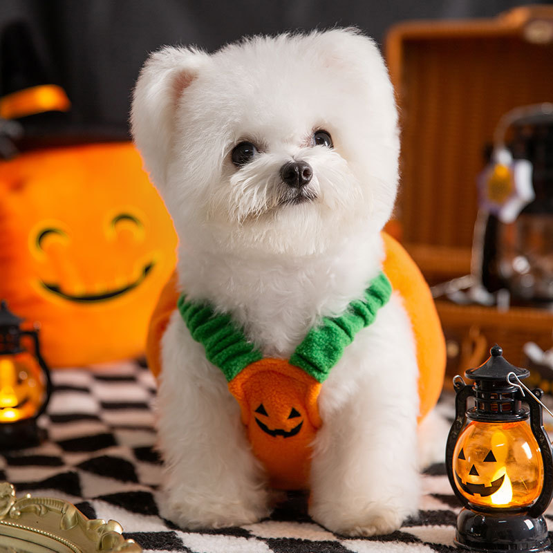 Personalized Halloween Funny Pumpkin Pet Costume | CWHalloween66
