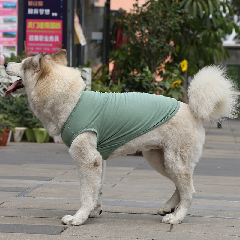Personalized Soft Puppy Shirt for Comfort & Unique | BKPet50