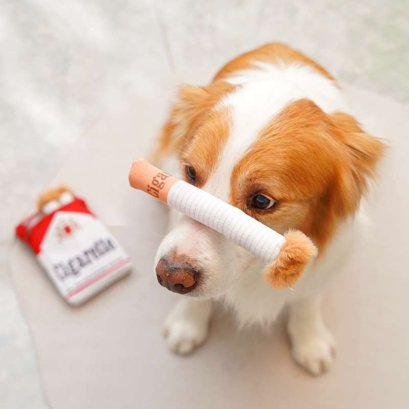 Creative Cigarette Interactive squeaky Plush Dog Toy Set | BKPet384