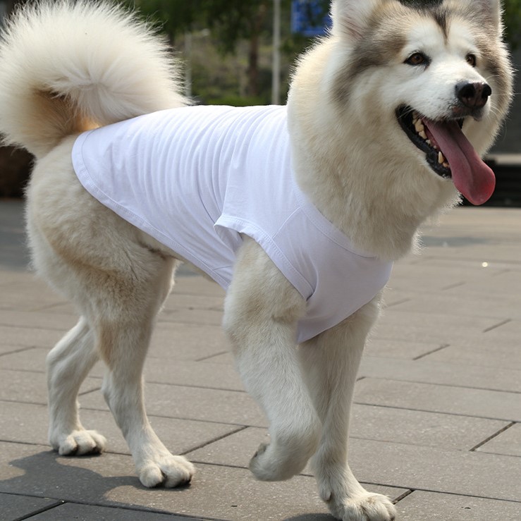 Personalized Soft Puppy Shirt for Comfort & Unique | BKPet50