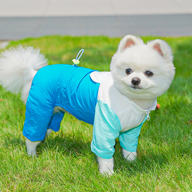 Personalized Pet Lightweight Sun-protective Rain Jacket | BKPet563
