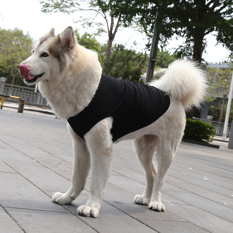 Personalized Soft Puppy Shirt for Comfort & Unique | BKPet50