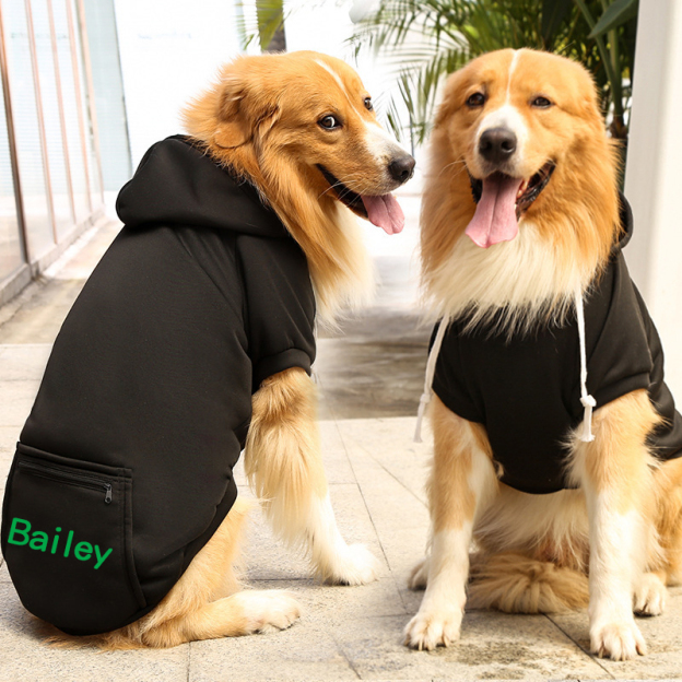 Personalized Warm Puppy Hoodie for Comfort & Unique | BKPet89