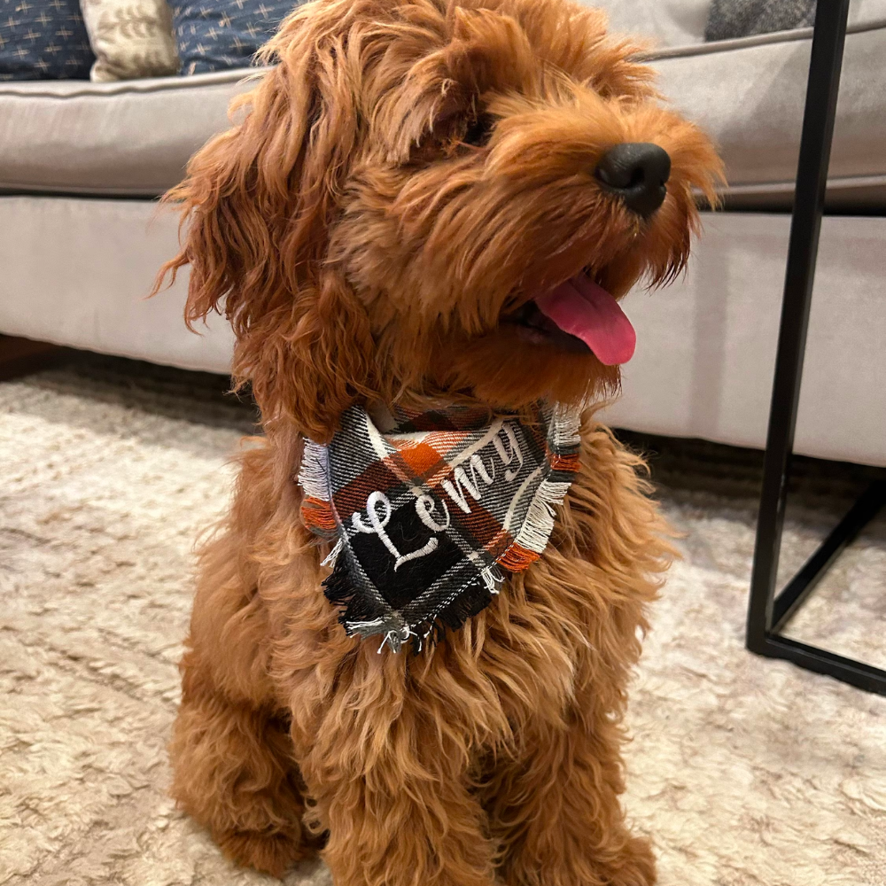 Personalized Autumn Dog Bandana for Comfort & Unique | BKPet19