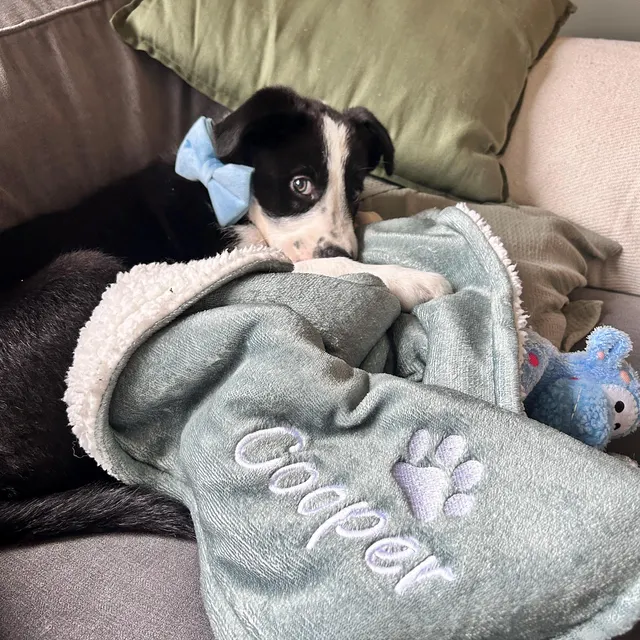 Personalized Thick Fleece Pet Blanket for Comfort & Unique | BKPet99