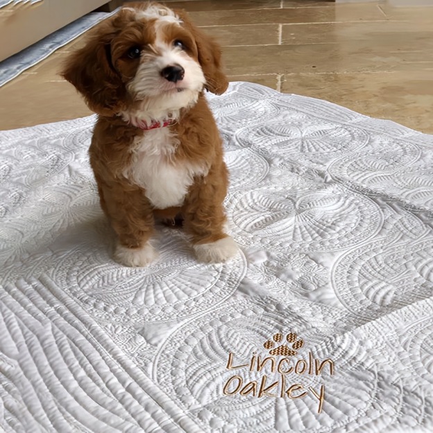 Personalized Embroidered Pet Blanket for Comfort & Unique | BKPet72