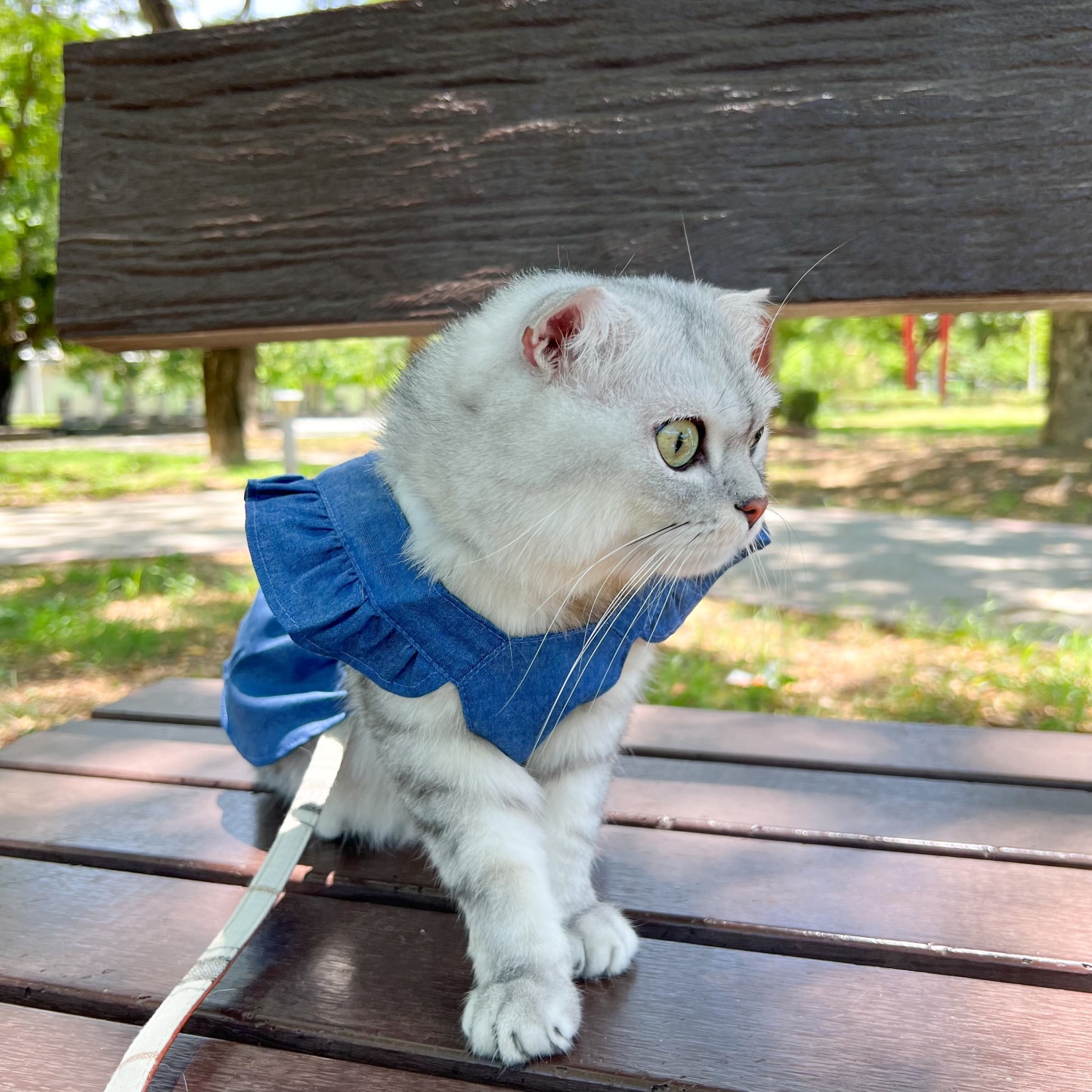 Personalized Leather Patch Pets Best Baby Denim Skirt | BKPet58