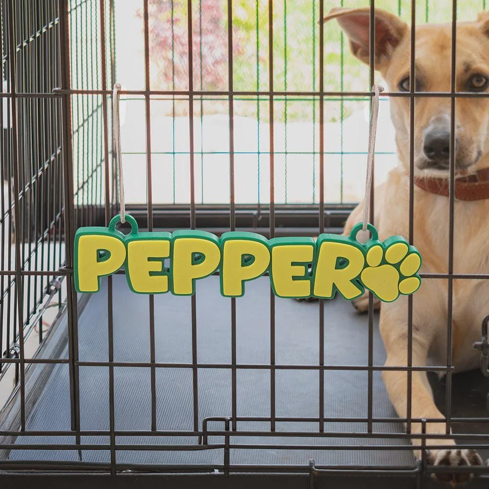 Personalized 3D Printed Dog Name Crate Sign | BKPet372