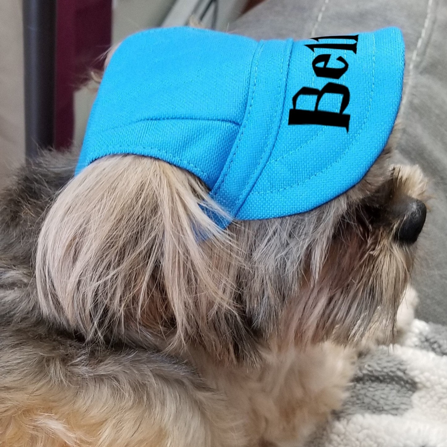 Personalized Pet Color Baseball Cap with Ear Holes | CWPet60
