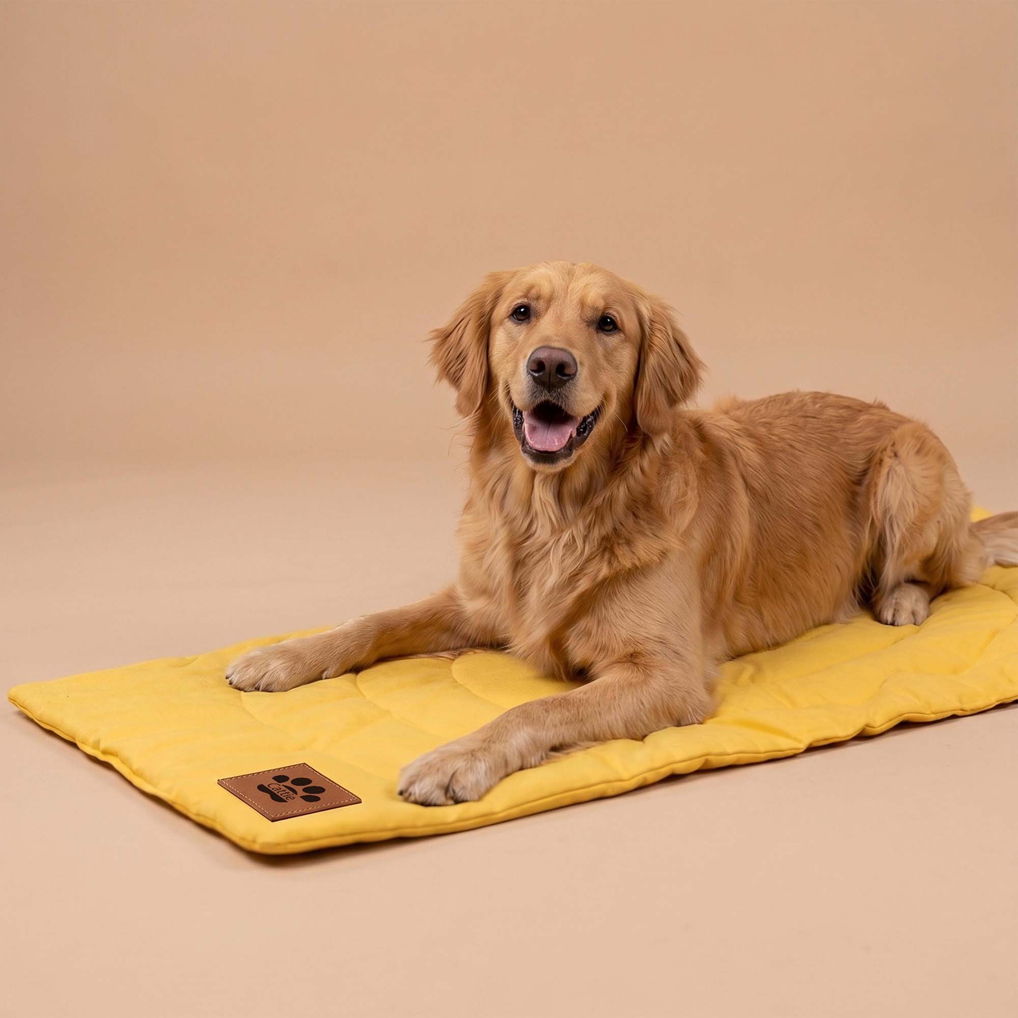 Personalized Portable Roll-Up Pet Mat | BKPet619