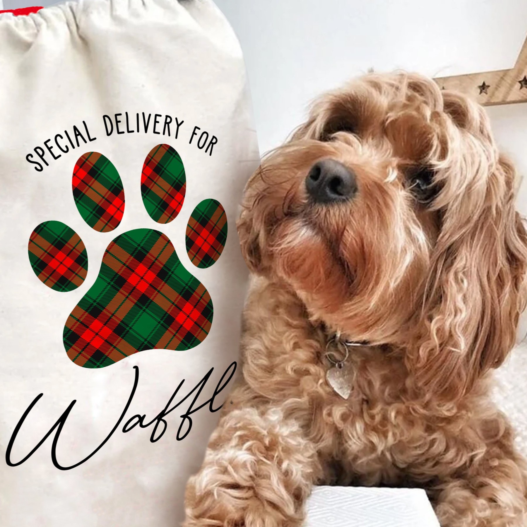 Personalized Name Pet Christmas Gift Sack | BKPet34