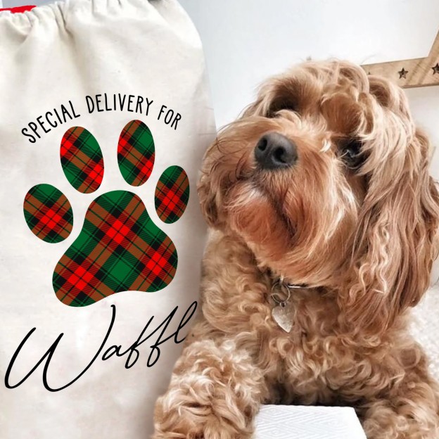 Personalized Name Pet Christmas Gift Sack | BKPet34