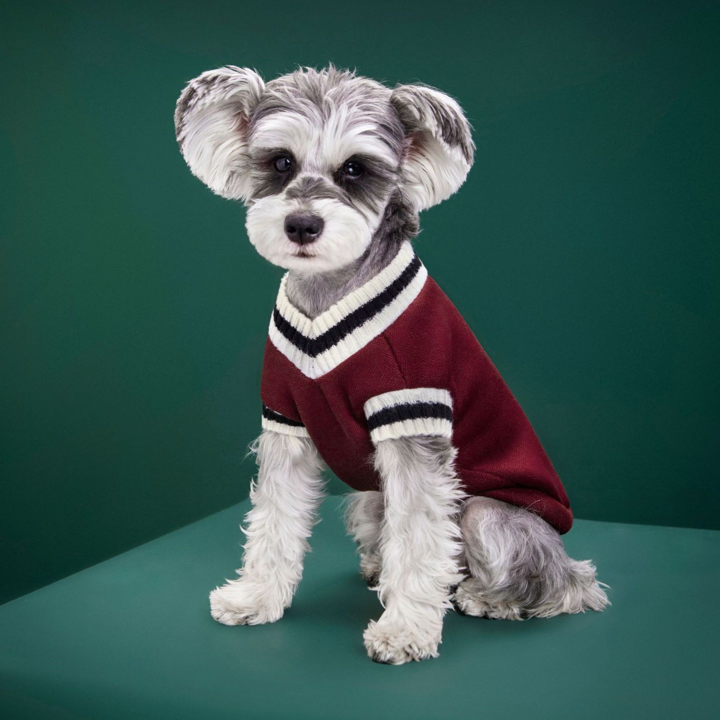 Personalized Leather Patch Pets Sweater | BKPet98