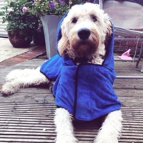 Personalized Pet Embroidery Soft Bathrobe Towel | BKPet92