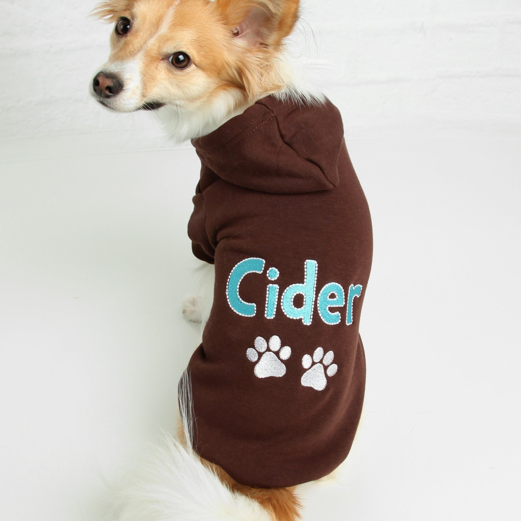 Personalized Warm Puppy Hoodie for Comfort & Unique | BKPet22